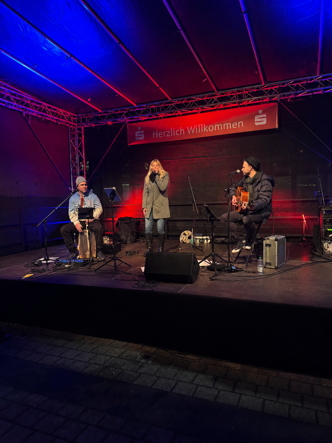 The Acoustic Project